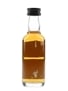 Glengoyne 14 Year Old  5cl / 40%