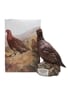 Famous Grouse Royal Doulton Grouse Decanter 75cl / 43%