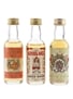 Scottish Collection The Nineteenth, Royal Wee & Uisge - Beatha 3 x 5cl / 40%