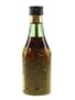 Torres 10 Gran Reserva  5cl / 39.2%