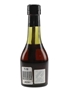 Torres 10 Gran Reserva  5cl / 38%