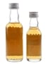 Whyte & Mackay The Whisky Of 1990  2 x 3cl-5cl / 40%