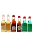 Cora, Cynar, Gambarotta & Pack Liqueurs  6 x 2.5cl-4cl