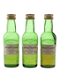 Glenfiddich 1973 , Glenglassaugh 1977 & Glen Grant 1980 Bottled 1994 & 1993 - Cadenhead's 3 x 5cl