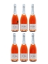 De Watere Premier Cru Rose NV Champagne - Disgorged 2016 6 x 75cl / 12%
