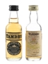 Tamdhu 10 Year Old Bottled 1980s & 2000s 2 x 5cl / 40%