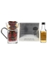 Hot Toddy Gift Pack - Rob Roy Scotch Whisky  5cl / 40%