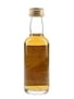 Macallan 22 Year Old The Birds Of British - The Kingfisher 5cl / 53.8%