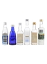 Vincent Van Gogh, Saratol, Royality, Puskin, Stolichnaya & Snow Queen Bottled 1970s-1990s 6 x 4cl-5cl