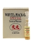 Whyte & Mackay Special Case The World's Smallest Bottles Of Whisky 12 x 1cl / 40%