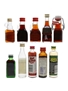 Assorted Spirit & Liqueur Miniatures Jagermeister, Moskovskaya, Marie Brizard 10 x 2cl - 5cl