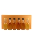 Glenmorangie Malt Whisky Collection 10 Year Old, Burgundy, Madeira, Port & Sherry Wood Finish Set 6 x 5cl