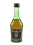 Camus Celebration Bottled 1980s 5cl / 40%