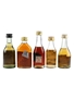 Assorted Brandy Pedro Domecq Carlos I, Don Juan Anejo, Etiqueta Negra, Three Barrels & Stock 5 x 3cl-5cl