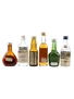 Assorted Spirits  6 x 3cl-5cl