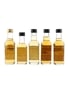 Assorted 10 Year Old Single Malt Auchentoshan, Benriach, Tamnavulin & Tomatin 5 x 5cl