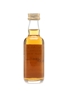 Macallan 1966 Limited Edition Miniature 26 Year Old 5cl / 43%