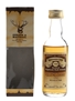 Glenlossie 1968 Connoisseurs Choice Bottled 1980s - Gordon & MacPhail 5cl / 40%