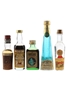 Assorted Liqueurs Liquore Strega, Maraschino, Moroni Marsal'uovo, Nocino Casoni & Casoni Paradise 5 x 2.8cl-5cl