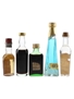 Assorted Liqueurs Liquore Strega, Maraschino, Moroni Marsal'uovo, Nocino Casoni & Casoni Paradise 5 x 2.8cl-5cl