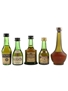 Camus Grand VSOP, Chateau Paulet XO, Delamain, Prince Hubert De Polignac & Router 3 Star Bottled 1970s-1980s 5 x 3cl-5cl / 40%