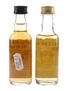 Select Drams Inebriated Newt & Millenium Bug Bottled 1990s 2 x 5cl / 40%