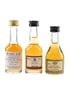 Prunier 3 Star, Marquis De Sauval 12 Year Old & Prunier VSOP  3 x 3cl / 40%