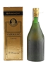 D Campeny Napoleon 12 Year Old VSOP Bottled 1990s - Spain 75cl / 40%