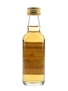 Glenlivet 15 Year Old Bottled 1990s - Gordon & MacPhail 5cl / 40%