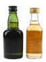 Queen Anne Rare Bottled 1960s & 1980s 2 x 5cl / 40%