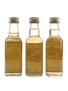 Saint George's Day Whisky Connoisseur 3 x 5cl / 40%