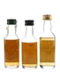 Glen Ord 12 Year Old, Tormore 10 Year Old & Strathisla 12 Year Old  3 x 5cl