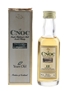 AnCnoc 12 Year Old Bottled 1990s-2000s  - Knockdhu Distillery Company 5cl / 40%