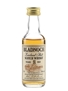 Bladnoch 8 Year Old Bottled 1980s 5cl / 40%