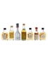 Assorted Brandy Pedro Domecq, Armagnac Brandy,  Napoleon Brandy, XO Brandy, Cyprus Brandy, Keo Brandy & Osborne Brandy 7 x 3cl-5cl