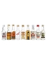 Smirnoff, Starka, Vladivar, Trosky, Brezloff, Zubrowka, Navip, Moonshine & Kubanskaya Vodka Bottled 1960s-1980s 9 x 5cl