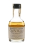 Glen Elgin White Horse Distillers - Japanese Import 5cl / 43%