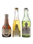 Assorted Liqueurs Blackberry Brandy, Groppi Liqueur & Pernod Fills 3 x 5cl