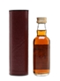 Macallan 1951  5cl / 48.8%