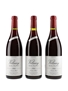 Volnay 1998 Vielles Vignes Nicolas Potel 3 x 75cl / 13%