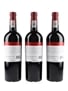 Warwick Estate Trilogy 2008 Stellenbosch 3 x 75cl / 14.5%