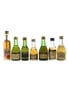 Assorted Brandy Asbach Uralt, Beaupre Napoleon, Beauregard Imperial, Napoleon, Raynal, Stock 84 & Three Barrels 3 Star 7 x 3cl-5cl / 40%