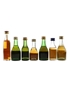 Assorted Brandy Asbach Uralt, Beaupre Napoleon, Beauregard Imperial, Napoleon, Raynal, Stock 84 & Three Barrels 3 Star 7 x 3cl-5cl / 40%