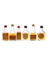 Assorted Brandy Napeoleon, XO, Favori & Seb 6 x 2.5cl-5cl