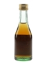 Antonio Nadal Napoleon 12 Year Old Brandy  4cl / 36%