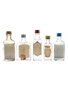 Assorted Gin Gilbey's, Burnett's White Satin, Tann's, Silver Top & Plym Gin 5 x 3cl-5cl