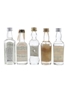 Assorted Vodka Nemiroff, Relska, Rusalca, Rushkin & Saratov 5 x 5cl