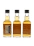 Jack Daniel's Old No.7  3 x 5cl / 40%