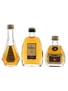 Bisquit VSOP, Hennessy Fine Cognac & Hine VSOP Bottled 1980s-1990s 3 x 3cl-5cl / 40%