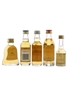 Assorted Blended Scotch Whisky Bell's Extra Special, Famous Grouse, Grant's & Loch More 5 x 3cl-5cl / 40%